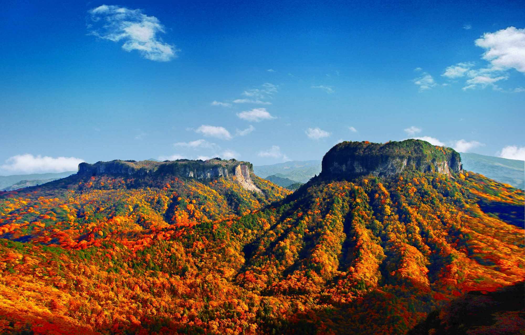 2020042315271903.jpg b1f03ca1be1542aa84b860a6530e9121.jpg