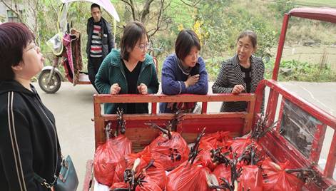 mmexport1605488536263