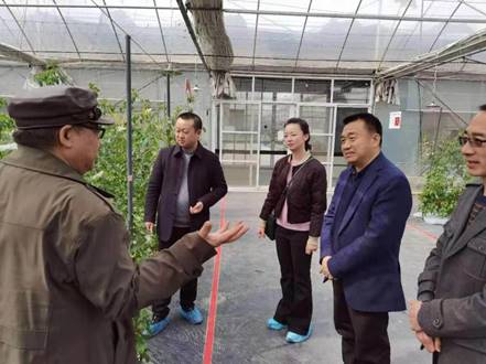 2da4531fa71c4c6e62e716d600c7e42